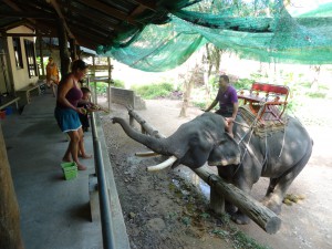 Belohnung zum Abschluss