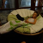 Das Äffchen danach erschossen auf seinem Thron auf der Terrasse