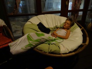 Das Äffchen erschossen auf seinem Thron auf der Terrasse