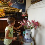 Xavi möchte gerne für seine Tick-Tack-Oma beten und nimmt sich kurzerhand Teichrose...