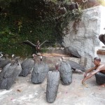 die Geier stürzen sich auf die Toten...